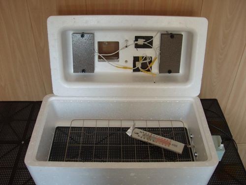 Инкубатор бытовой "Несушка" БИ-1(БИ-2) 77 цифр