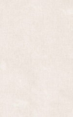 Керамогранит CRIATURAS бежевая светлая 25*40