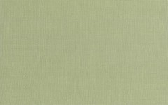 Керамогранит Эсте зел. низ 02 25*40