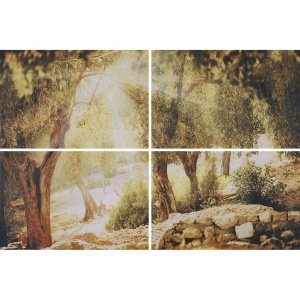 Керамогранит Селена кор. панно 01 600*400