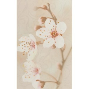 Керамогранит Сакура корич декор 03 250*400