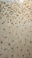 Керамогранит Мозайка Нео бежевая 25*40