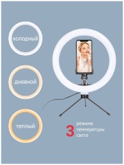 Лампа кольцевая PIONEER SL-10410