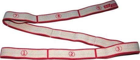 Эспандер-ленточный кольцо 2,5*100, 29485