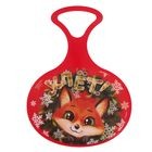 Ледянка Лисичка 1678113