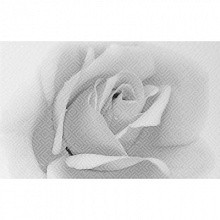 Керамогранит Камелия черн декор 02 250*400