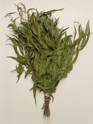 Веник эвкалиптовый 200р.